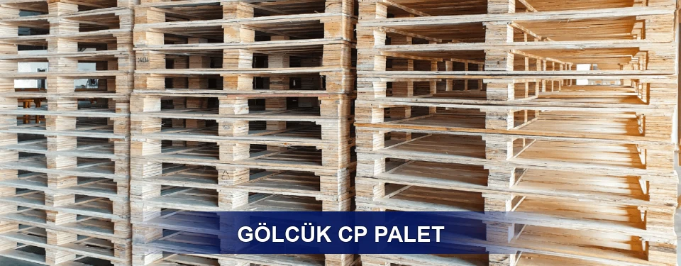 Gölcük Standart Tipler